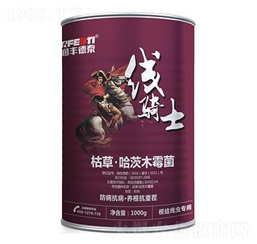 ݲݡľù-(xin)Tʿ-(rn)S̩