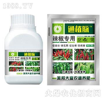 (zhun)÷-ֲͨ}-Ƽ