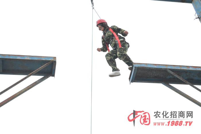 ڶ҂˵(xing)ĿǸ߿Ք@ǂ(g)(zhn)ҵһ(g)(xing)Ŀ