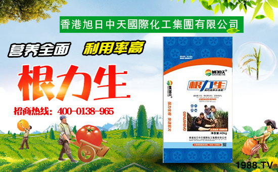 香港旭日中天國(guó)際化工集團(tuán)有限公司1