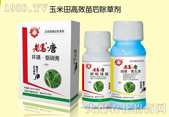【順天農(nóng)業(yè)】祝大家:幸福萬年長,快樂無邊疆,好運更健康!