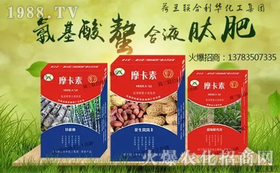荷蘭聯(lián)合利華化工集團