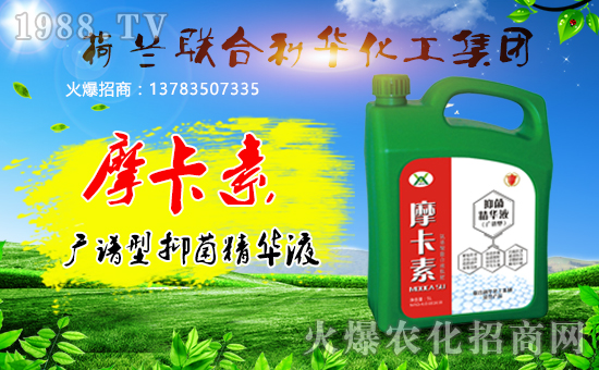 荷蘭聯(lián)合利華化工集團
