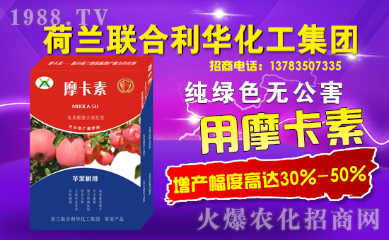 荷蘭聯(lián)合利華化工集團