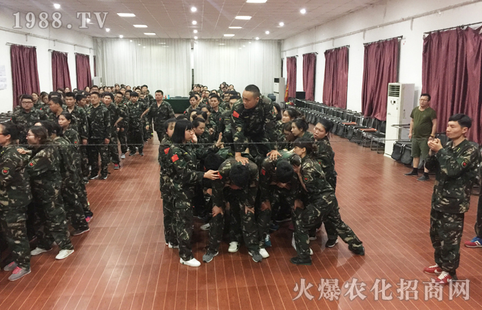 用心去做去堅(jiān)持,你終將會(huì)收獲滿(mǎn)滿(mǎn)!