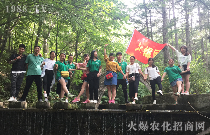 洛陽(yáng)白云山觀后感