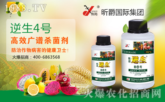 張燈結(jié)彩新春到,鞭炮聲聲人歡笑。開開心心無煩惱,順順利利事業(yè)高!值此新春佳節(jié)來臨之際,昕爵國際集團祝大家在新的一年里財源滾滾來!