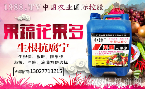 【中國(guó)農(nóng)業(yè)國(guó)際控股】祝您合家歡樂(lè)、萬(wàn)事如意!