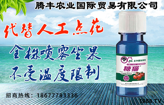 騰豐農業(yè)國際貿易有限公司