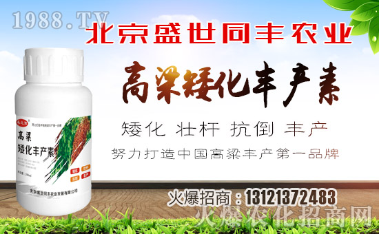 【盛世同豐】祝全國(guó)朋友狗年大吉,萬事如意!