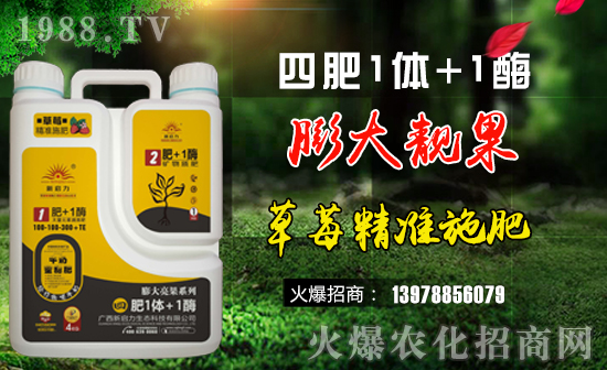 【新啟力】祝福一路相伴的朋友們?cè)谛碌囊荒昀镄腋C罎M(mǎn),闔家歡樂(lè)!