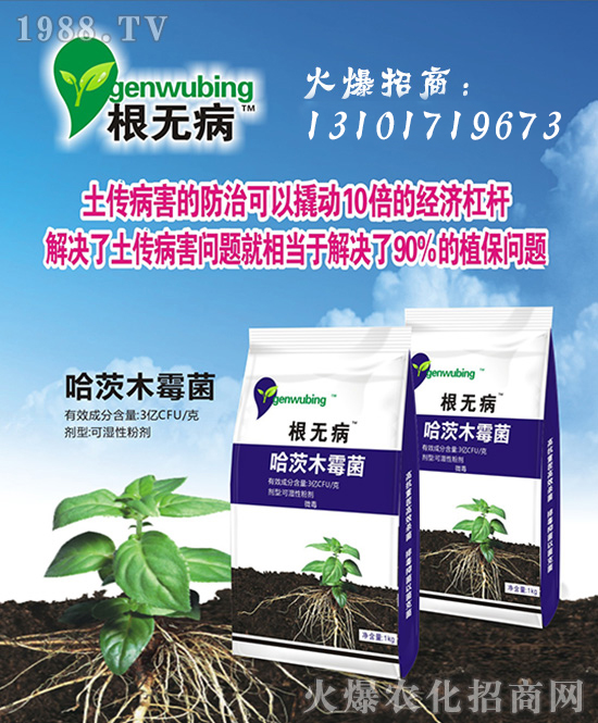 【中國(guó)·儂易施】全體員工恭祝廣大合作客戶新年快樂,萬事如意!