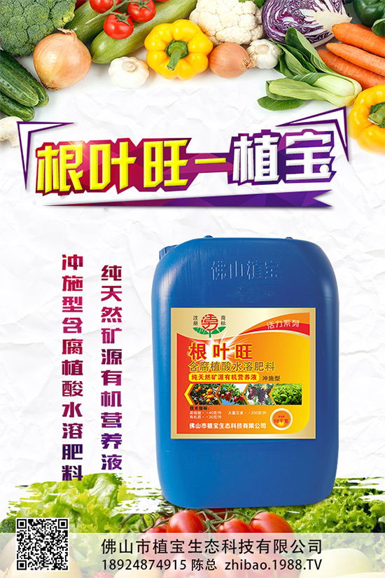 越冬茄子該如何施肥?冬茬茄子施肥技術要點