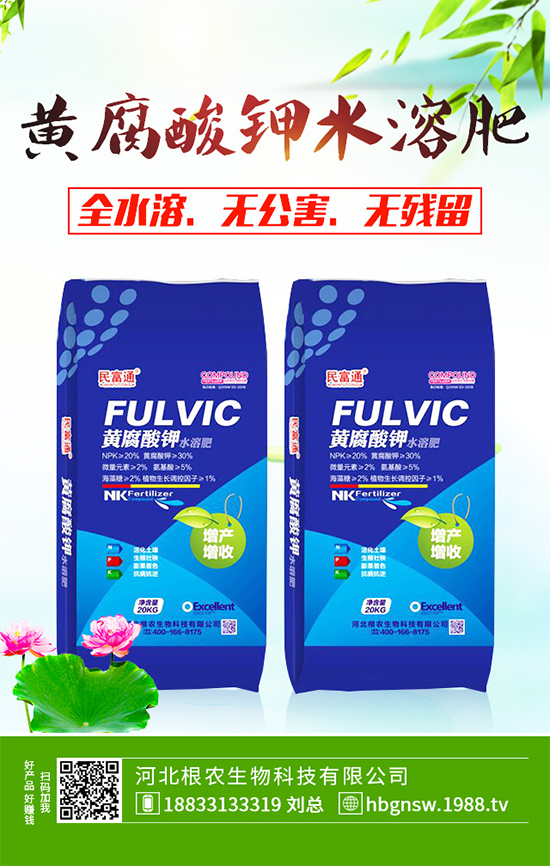 五味子樹該如何種植?五味子規(guī);N植技術(shù)