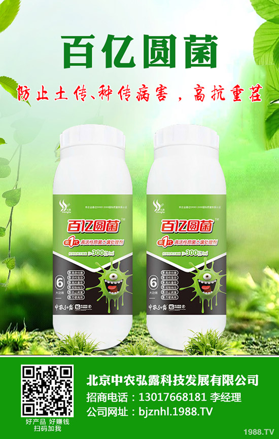 ʲôa(chn)ʺαʺİl(f)