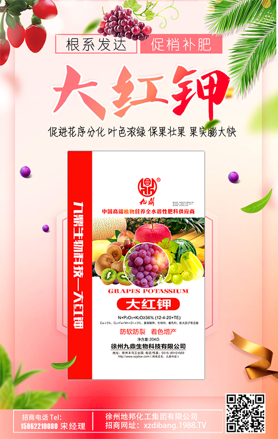 豆芽種植技術(shù)要點有哪些?豆芽有哪些功效作用?
