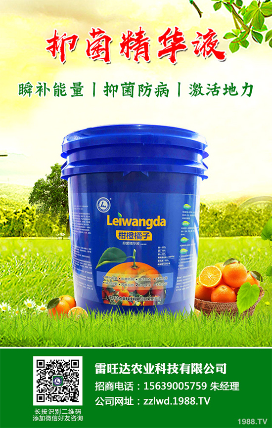 Lڵ͜عգ߲LݲԓνQa(b)Ď(xing)ʩ