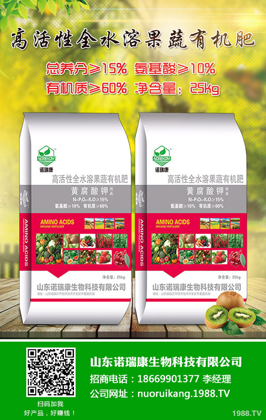 蒜黃什么時(shí)候種植?蒜黃種植時(shí)間點(diǎn)及種植注意事項(xiàng)!