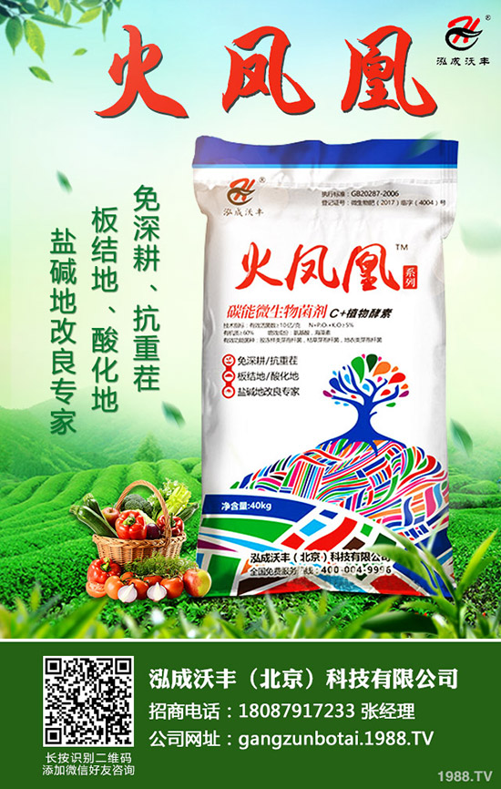     2020NֲٍXôǰһͶYЧ