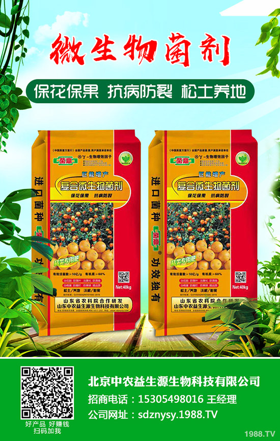 二銨冬儲何時(shí)打破僵局!2019-12-13磷酸二銨行情走勢預(yù)測!