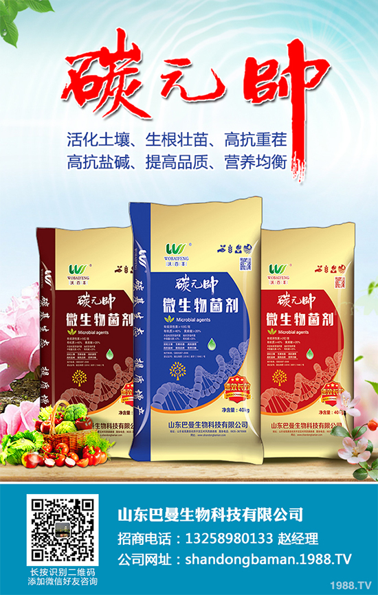 木耳菜有哪些營養(yǎng)價(jià)值?木耳菜的功效作用