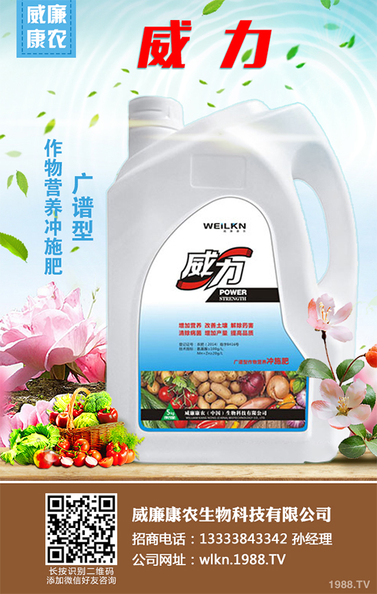 木耳菜不僅好吃而且營(yíng)養(yǎng)豐富,它含有極其豐富的營(yíng)養(yǎng)元素,特別是鈣、鐵等元素的含量非常的高,下面小編就為大家講述一下木耳菜的采收方法,一起來看看吧!
