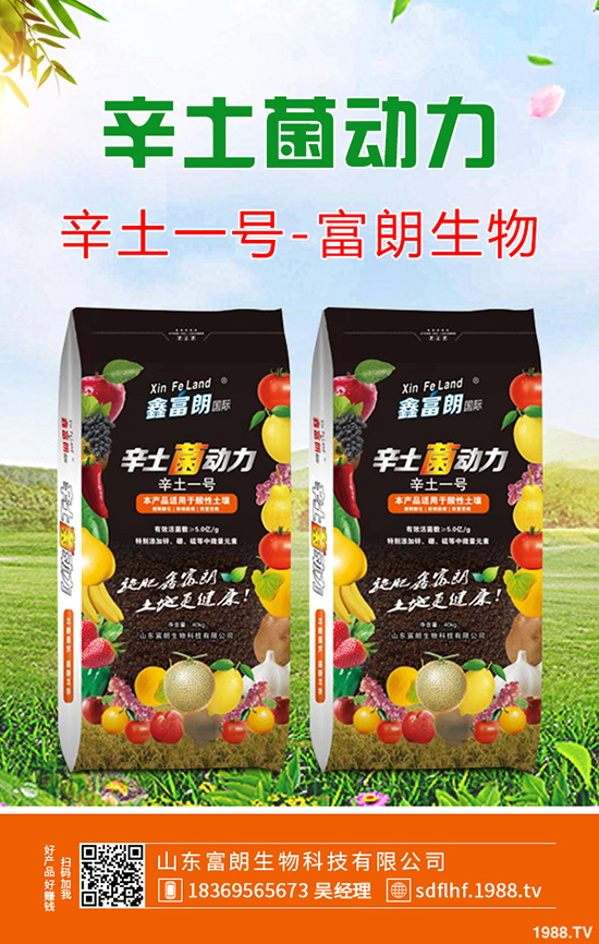     2019年12月6日二銨交投持續(xù)清淡！今日最新二銨主流出廠報價！