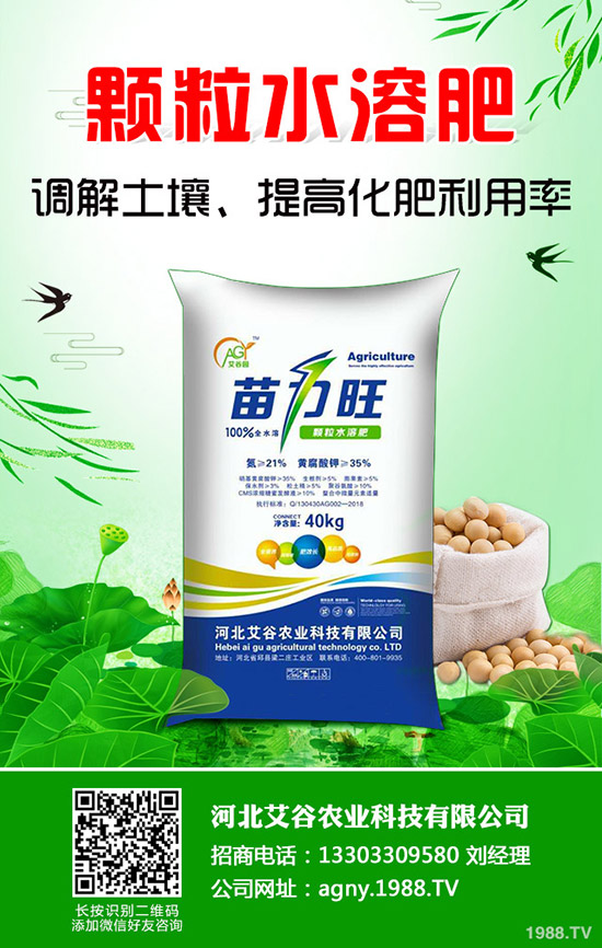 2019年8月第三周國(guó)內(nèi)一銨市場(chǎng)價(jià)格行情走勢(shì)分析周報(bào)