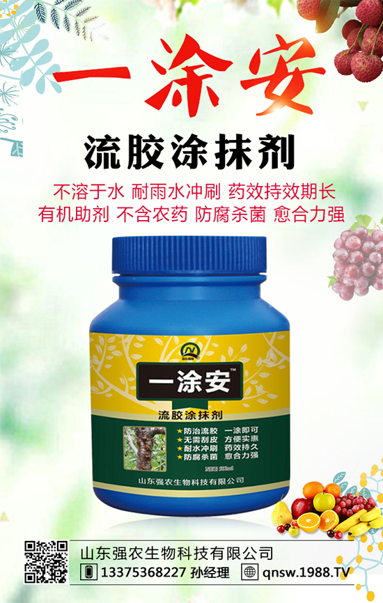 軟籽石榴品種有哪些?軟籽石榴的高產(chǎn)種植技術