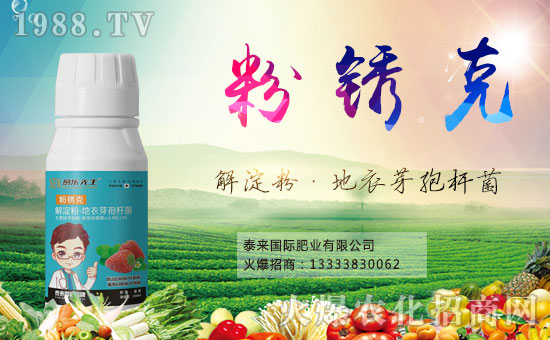 【泰來(lái)國(guó)際肥業(yè)】祝您事業(yè)成功輝煌年,闔家歡樂(lè)幸福年!