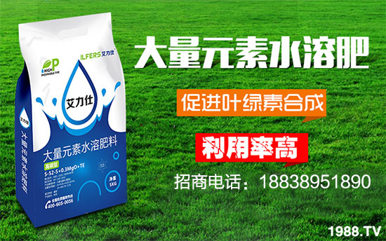     S´ϲcϢ҂^2019粽ںCϣ2020q;ofӭ֮Hɫаﻯ޹˾ףȫ(jng)NтµһI(y)ʸߣꖹMHҚg