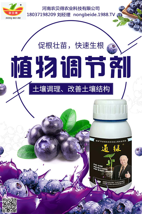種植生姜施肥要點,生姜施肥用什么肥料?