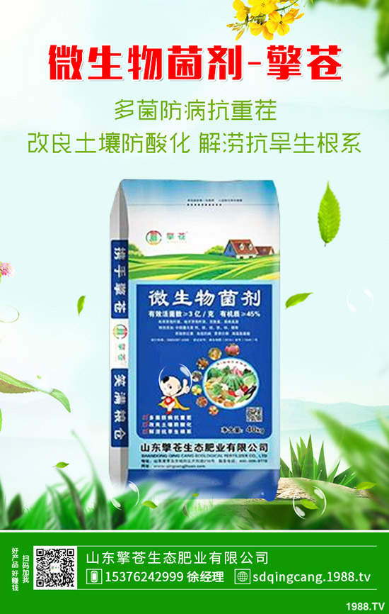 2020年1月1日二銨冬儲(chǔ)需求一般!價(jià)格穩(wěn)中偏弱運(yùn)行!