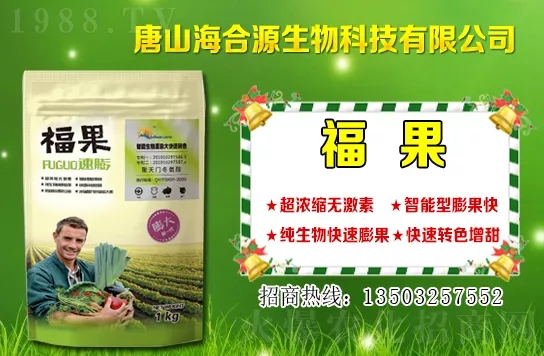 目前小麥?zhǔn)召彾嗌馘X一斤?小麥價(jià)格行情如何?