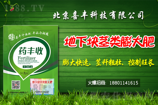 小麥價(jià)格還能繼續(xù)上漲嗎?2021春節(jié)前小麥價(jià)格預(yù)測(cè)!