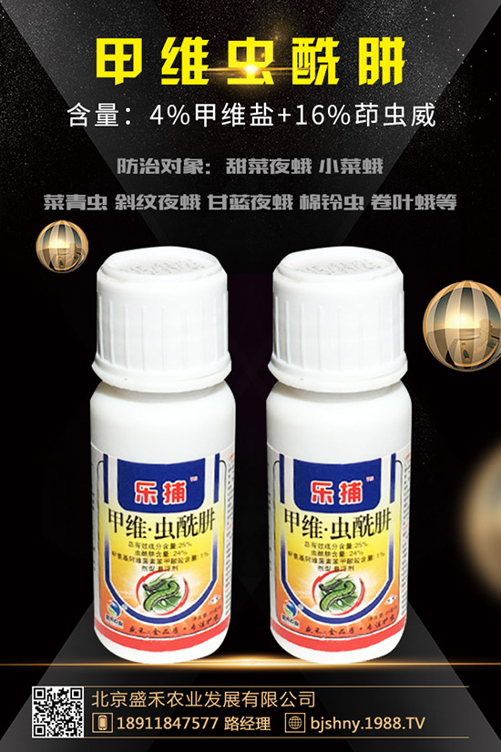 小麥紅蜘蛛的發(fā)生規(guī)律有哪些?小麥紅蜘蛛防治措施!