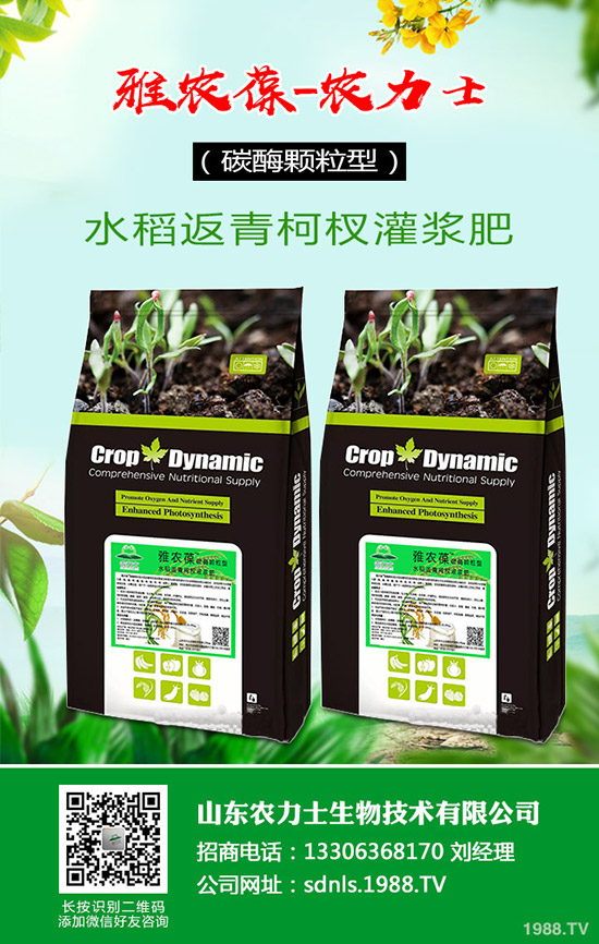 原料價(jià)格波動(dòng)!復(fù)合肥成交受挫!2020年4月14日最新復(fù)合肥行情走勢(shì)分析: