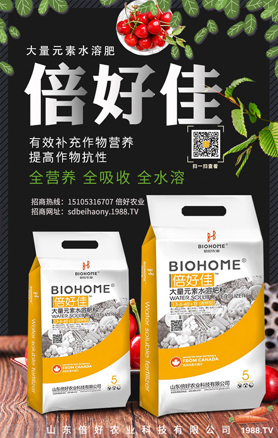 小麥未抽穗什么原因?qū)е碌模咳绾谓鉀Q和補救?小麥抽穗期須注意事項及管理方法!