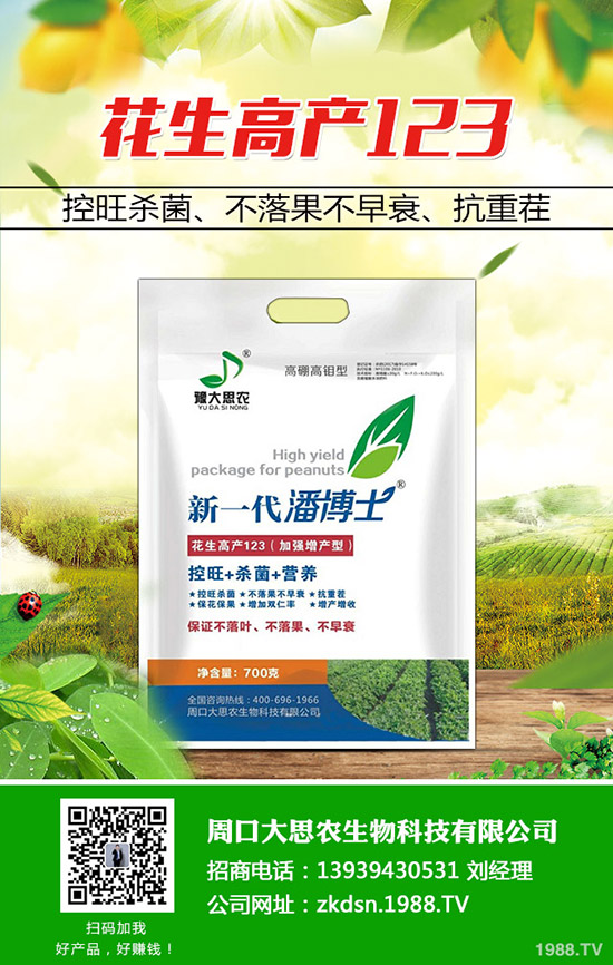 花生管理抓住這幾點,果大產量高! 花生栽培技術與管理要點!