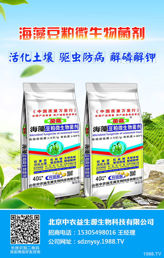2020-5-2磷酸二銨價(jià)格弱勢(shì)盤整運(yùn)行!最新行情走勢(shì)預(yù)測(cè)!