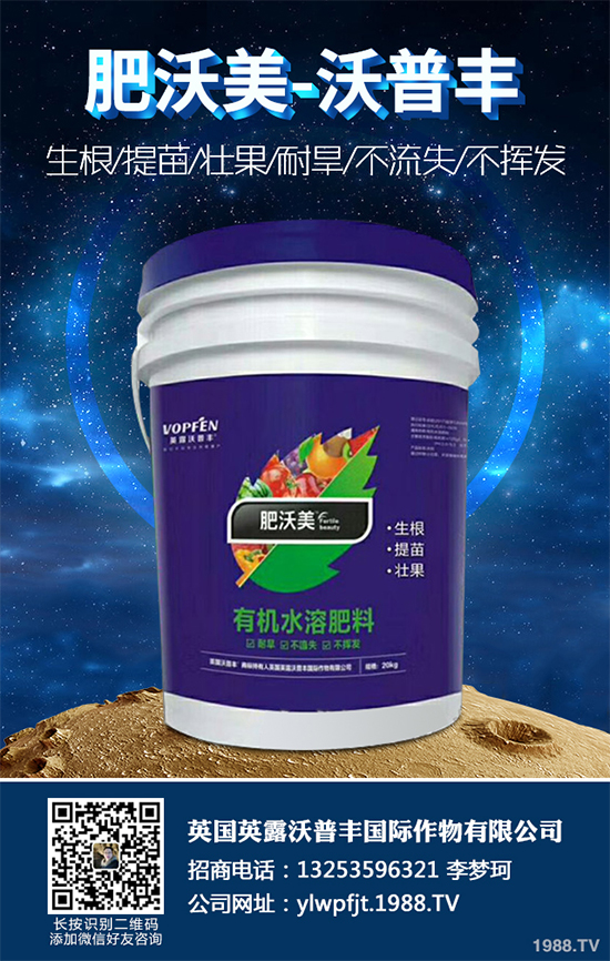 魚腥草市場價(jià)格多少錢一斤?2020年魚腥草的種植效益分析