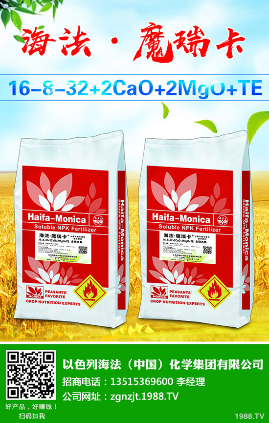 葡萄樹勢旺長發(fā)生原因有哪些?該怎么辦?葡萄的夏季控旺技術(shù)!