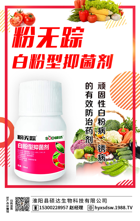 板栗怎么種植?板栗種植技術要點!