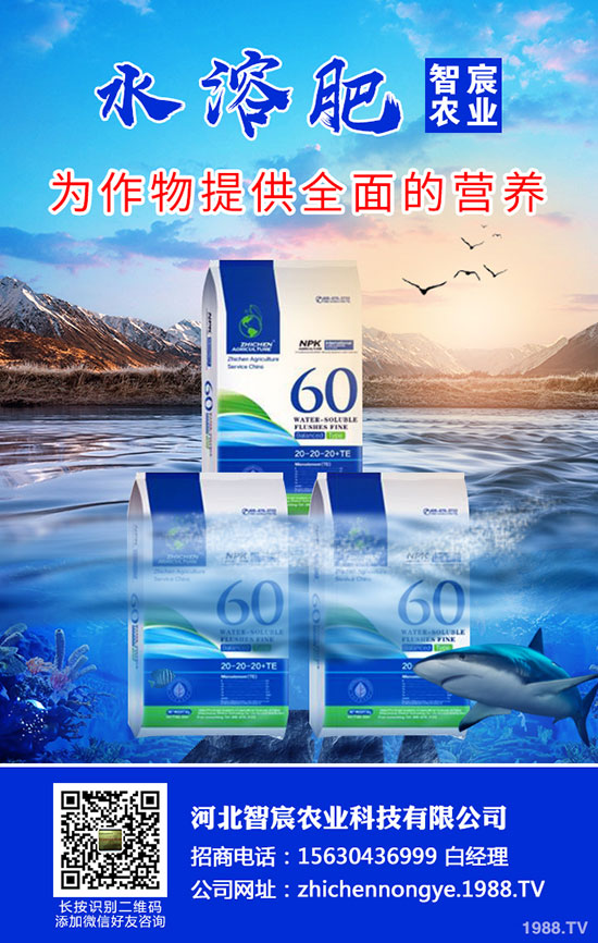 2020尿素價(jià)格要上漲!最新尿素行情走勢分析!