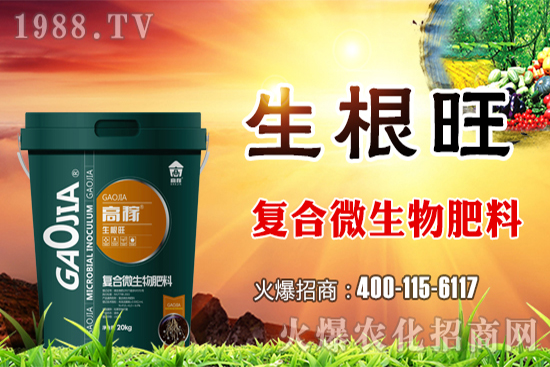 復(fù)合肥料