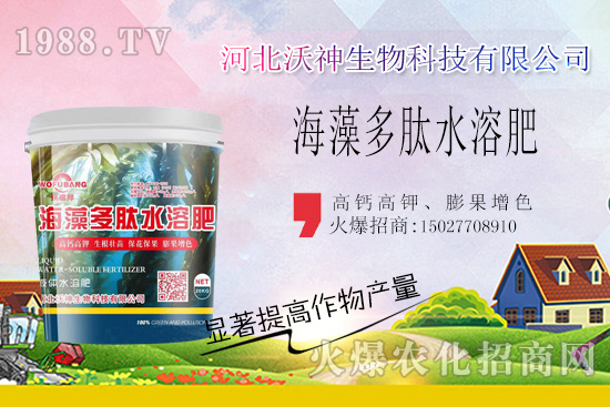 作物長(zhǎng)勢(shì)好不好,根系管理很重要!“海藻多肽水溶肥”開啟作物生根時(shí)代!