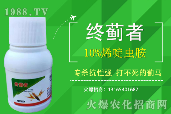 10%ϩxܴERʲôc(din)10%ϩxʹע(xing)