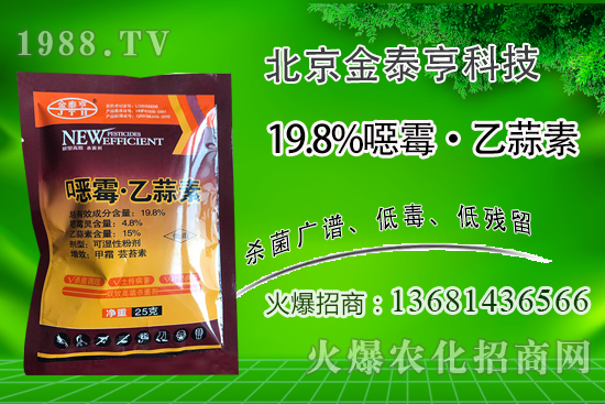 連年種植番茄青枯病越來越重!番茄青枯病可以防治嗎?用什么藥?