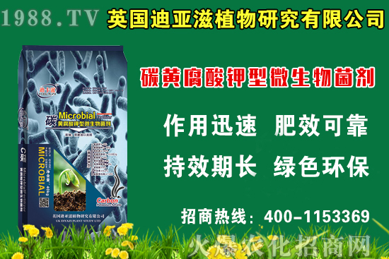 蛇瓜什么時(shí)候種比較好,蛇瓜栽培技術(shù)要點(diǎn)!