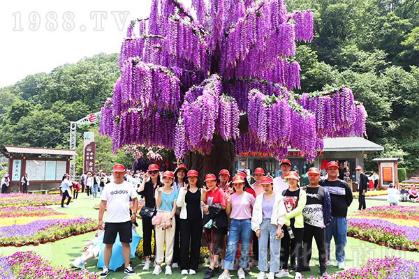 跟著火爆網(wǎng)游老君山,放松心情,傳承國(guó)學(xué)經(jīng)典